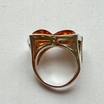 292411154d49967e0cd02b21a319