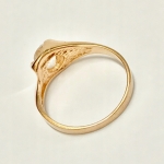 d536bd9c436aa38c904caeca7659