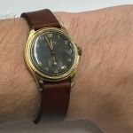 99a4868049c3abaf5dee9f209bcf